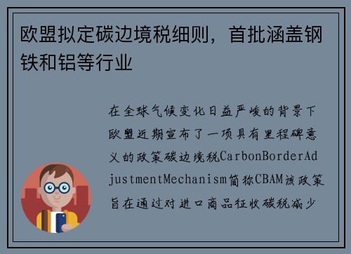欧盟拟定碳边境税细则，首批涵盖钢铁和铝等行业